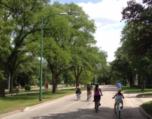A street full of trees. People are riding bikes and walking