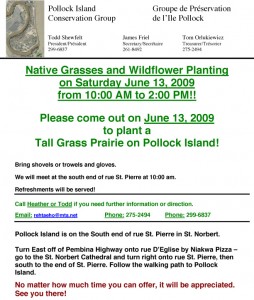 pollock-island-grass-planti