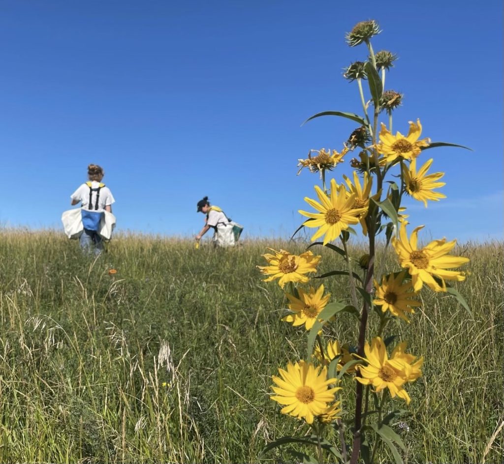 Tree Planting and Green Building Coordinator II Winnipeg Trails